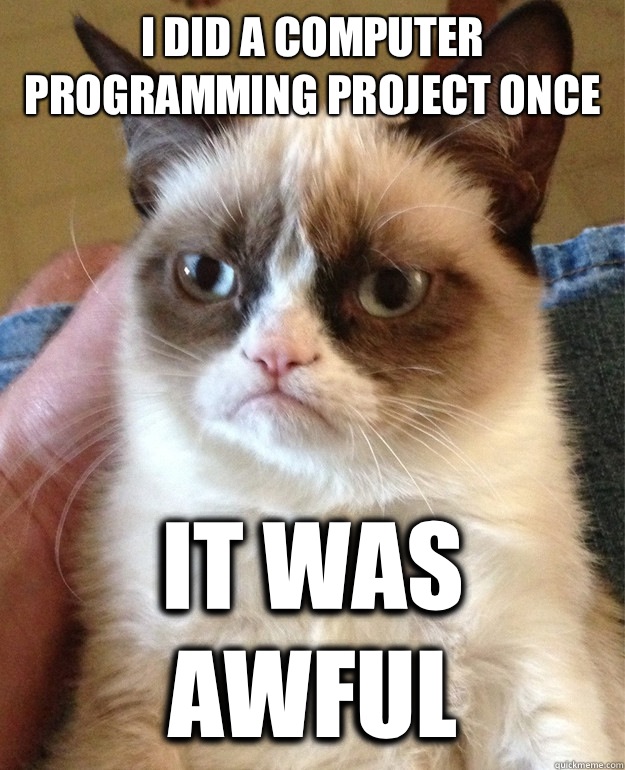 I did a computer programming project once It was awful - I did a computer programming project once It was awful  Grumpy Cat