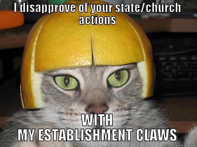 I DISAPPROVE OF YOUR STATE/CHURCH ACTIONS WITH MY ESTABLISHMENT CLAWS Misc
