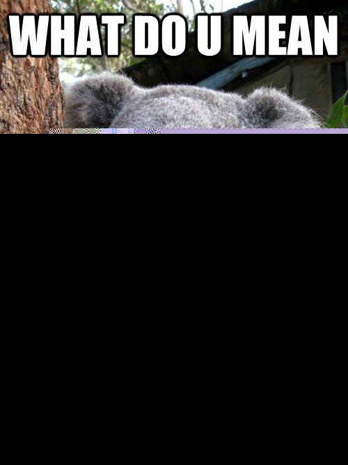 what do u mean geolody isn't a science  Surprised Koala