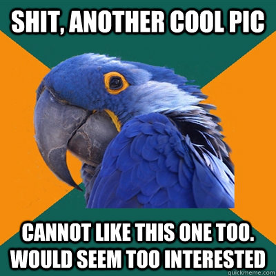 SHIT, ANOTHER COOL PIC CANNOT LIKE THIS ONE TOO. WOULD SEEM TOO INTERESTED  Paranoid Parrot