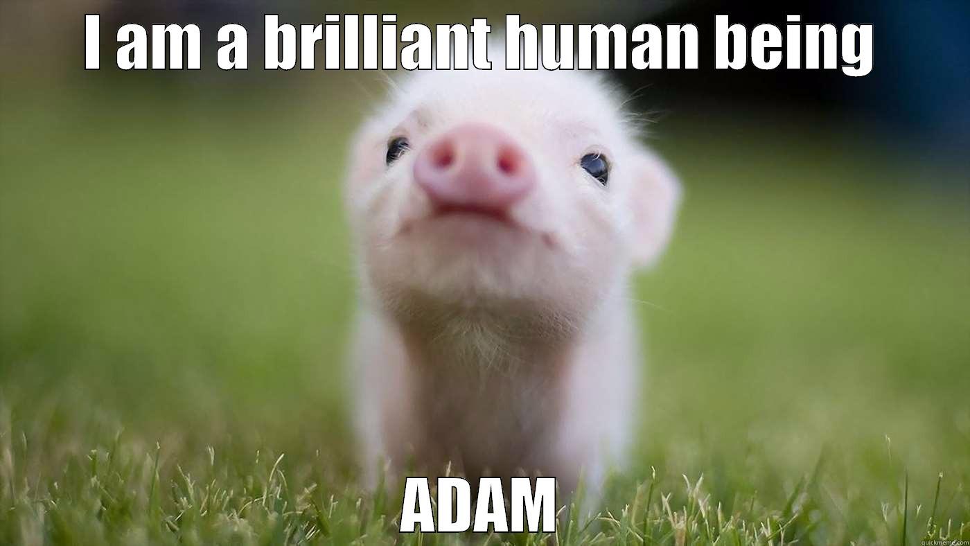 I AM A BRILLIANT HUMAN BEING ADAM Misc