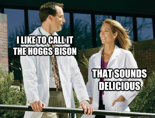I like to call it the hoggs bison that sounds delicious - I like to call it the hoggs bison that sounds delicious  Misc