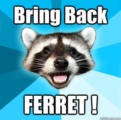 Bring Back FERRET !  Lame Pun Coon