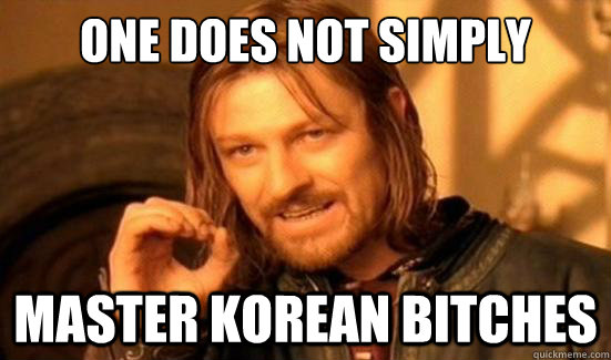 One Does Not Simply master korean bitches  Boromir