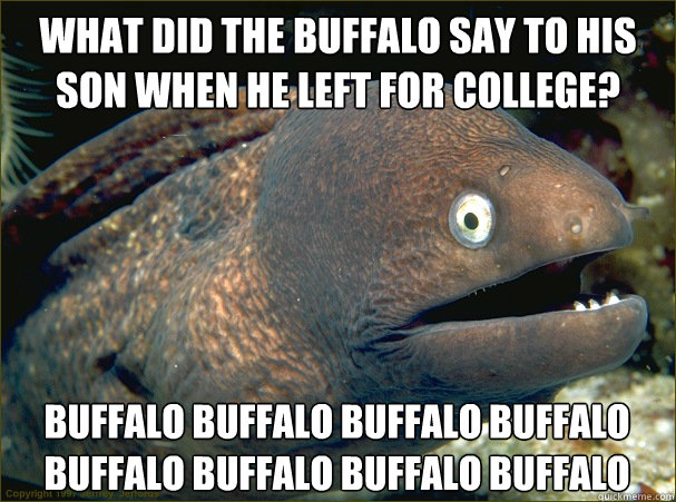 What did the buffalo say to his son when he left for college? Buffalo buffalo Buffalo buffalo buffalo buffalo Buffalo buffalo  Bad Joke Eel