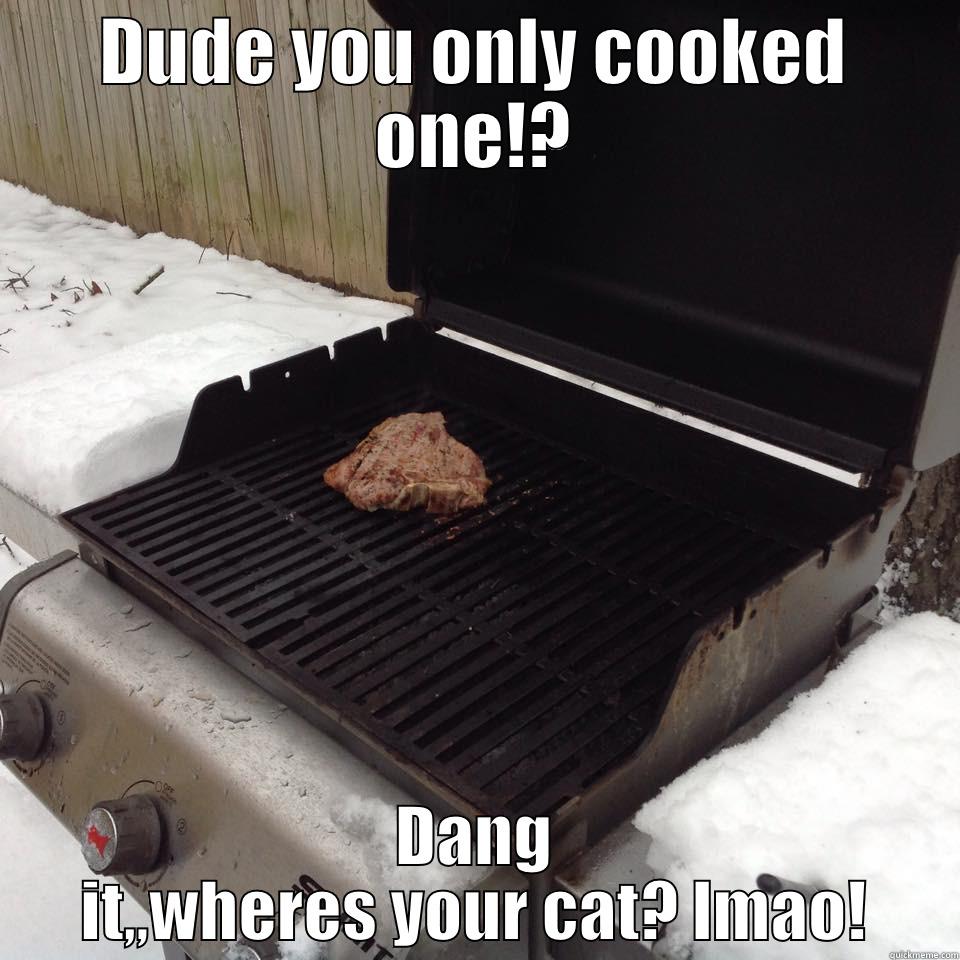DUDE YOU ONLY COOKED ONE!? DANG IT,,WHERES YOUR CAT? LMAO! Misc