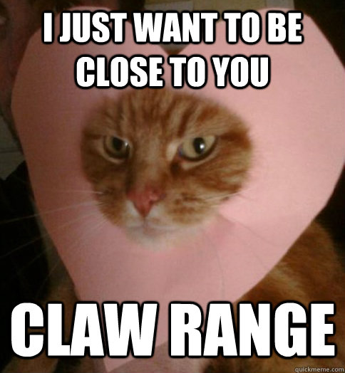 I just want to be close to you claw range  Valentine Cat