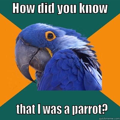      HOW DID YOU KNOW           THAT I WAS A PARROT?   Paranoid Parrot