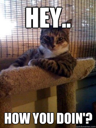 Hey.. How you doin'?  The Most Interesting Cat in the World