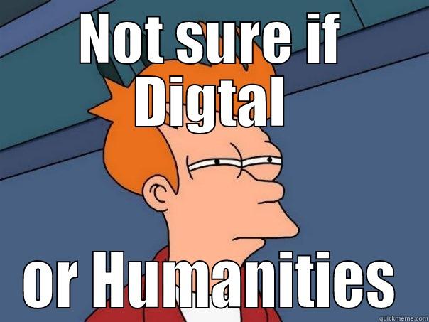 Digital Humanities Fry - NOT SURE IF DIGTAL OR HUMANITIES Futurama Fry