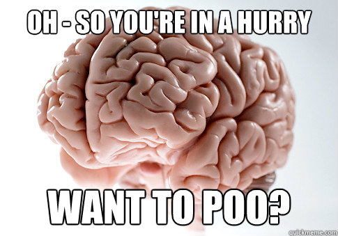 OH - SO YOU'RE IN A HURRY WANT TO POO? - OH - SO YOU'RE IN A HURRY WANT TO POO?  Scumbag Brain