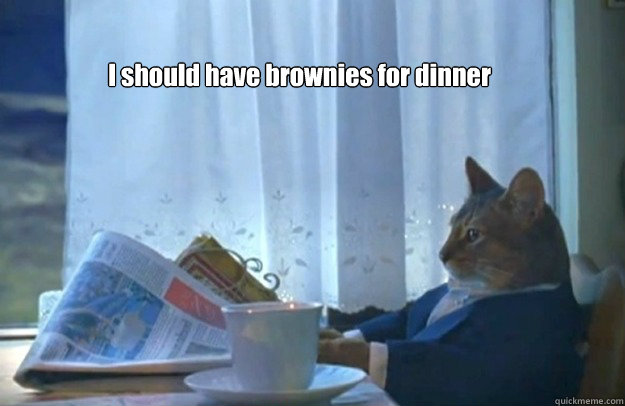 I should have brownies for dinner - I should have brownies for dinner  Sophisticated Cat