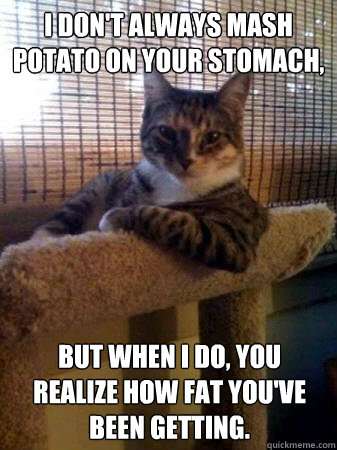 I don't always mash potato on your stomach, But when I do, you realize how fat you've been getting.  The Most Interesting Cat in the World