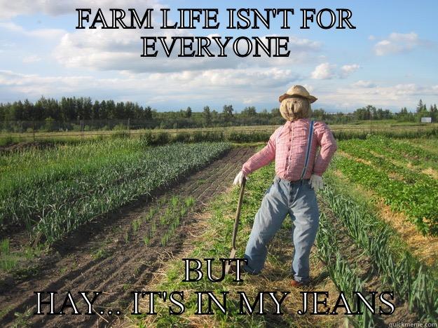 Farmlife pun - FARM LIFE ISN'T FOR EVERYONE BUT HAY... IT'S IN MY JEANS Scarecrow