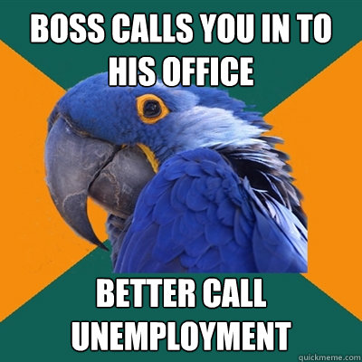 Boss calls you in to his office better call unemployment  Paranoid Parrot