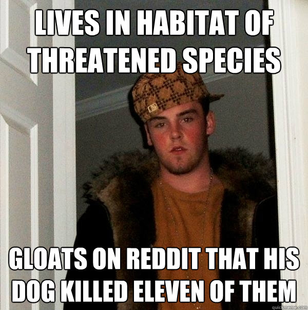 Lives in habitat of threatened species gloats on reddit that his dog killed eleven of them - Lives in habitat of threatened species gloats on reddit that his dog killed eleven of them  Scumbag Steve