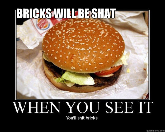 bricks will be shat - bricks will be shat  when you see it you will shit bricks