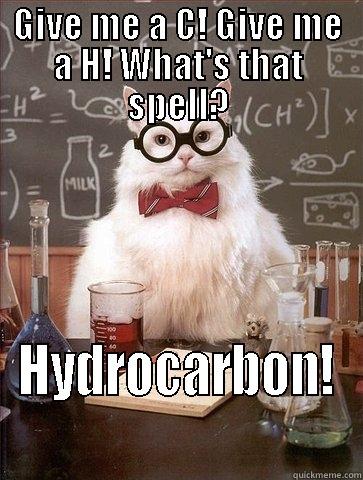 GIVE ME A C! GIVE ME A H! WHAT'S THAT SPELL? HYDROCARBON! Chemistry Cat