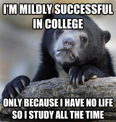 I'm mildly successful in college only because i have no life so i study all the time  Confession Bear