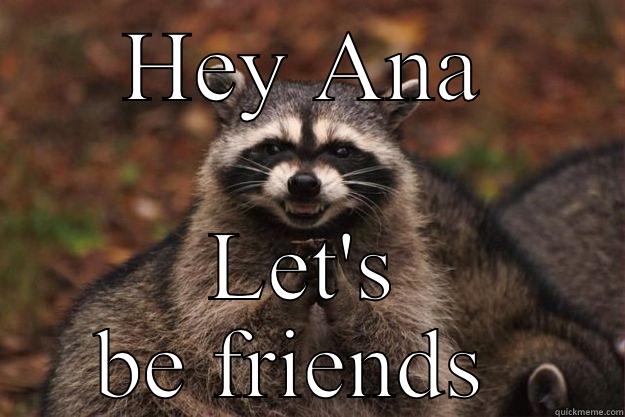 Hey Friend - HEY ANA LET'S BE FRIENDS  Evil Plotting Raccoon