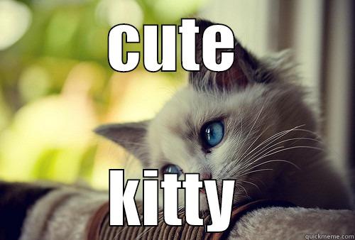 cute cat - CUTE KITTY First World Problems Cat