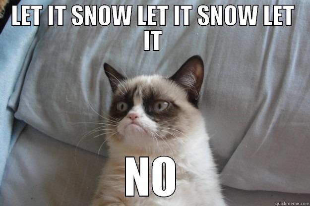 what the - LET IT SNOW LET IT SNOW LET IT NO Grumpy Cat