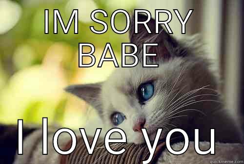 Sorry  - IM SORRY BABE I LOVE YOU First World Problems Cat