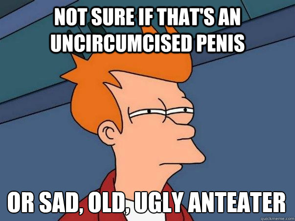 Not sure if that's an uncircumcised penis or sad, old, ugly anteater - Not sure if that's an uncircumcised penis or sad, old, ugly anteater  Not sure Fry