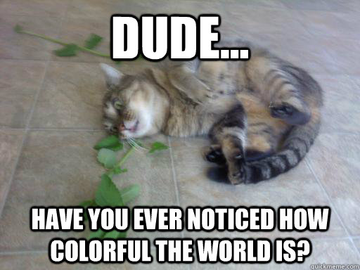 dude... have you ever noticed how colorful the world is?  