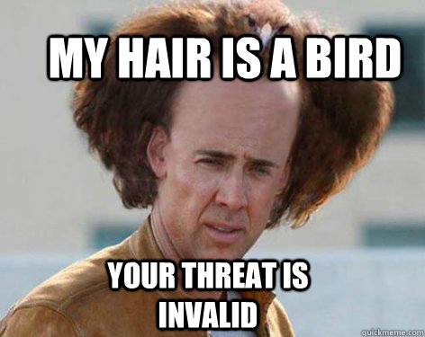 my hair is a bird your threat is invalid - my hair is a bird your threat is invalid  Crazy Nicolas Cage