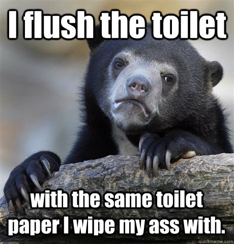 I flush the toilet with the same toilet paper I wipe my ass with.  Confession Bear
