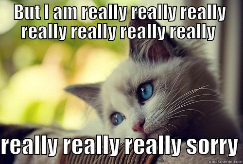 BUT I AM REALLY REALLY REALLY REALLY REALLY REALLY REALLY   REALLY REALLY REALLY SORRY First World Problems Cat