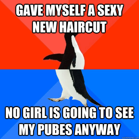 gave myself a sexy new haircut no girl is going to see my pubes anyway  Socially Awesome Awkward Penguin
