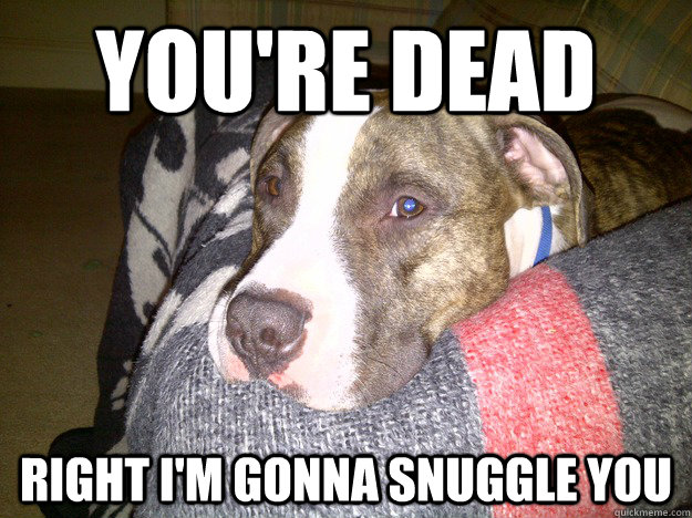 you're dead right i'm gonna snuggle you  