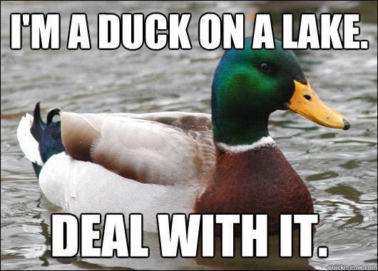 I'm a duck on a lake. Deal with it.  Actual Advice Mallard