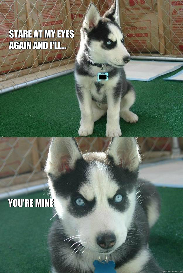 stare at my eyes again and i'll... you're mine  Insanity puppy