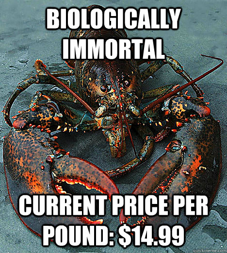 Biologically immortal Current price per pound: $14.99 - Biologically immortal Current price per pound: $14.99  Bad Luck Lobster