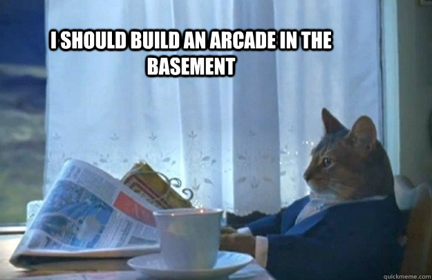 I should build an arcade in the basement  Sophisticated Cat
