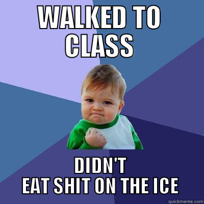 WALKED TO CLASS DIDN'T EAT SHIT ON THE ICE Success Kid