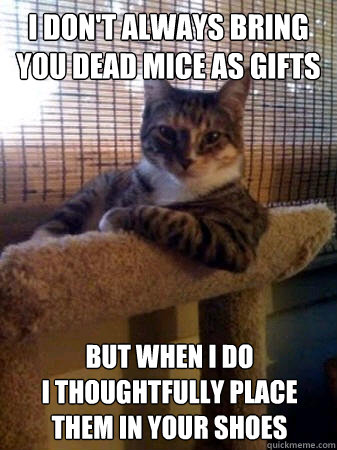 I don't always bring you dead mice as gifts but when I do 
I thoughtfully place them in your shoes  The Most Interesting Cat in the World