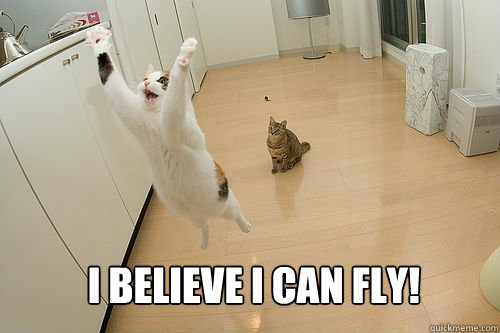 I believe I can fly!  Jumping Cat