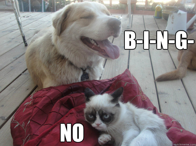 b-i-n-g- no  