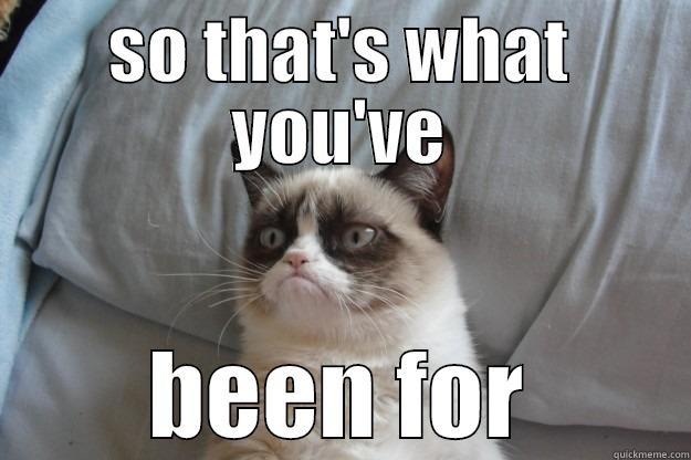 SO THAT'S WHAT YOU'VE BEEN FOR Grumpy Cat