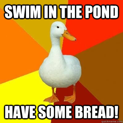 SWIM IN THE POND HAVE SOME BREAD!  Tech Impaired Duck