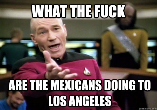 What the fuck Are the mexicans doing to los angeles  Patrick Stewart WTF