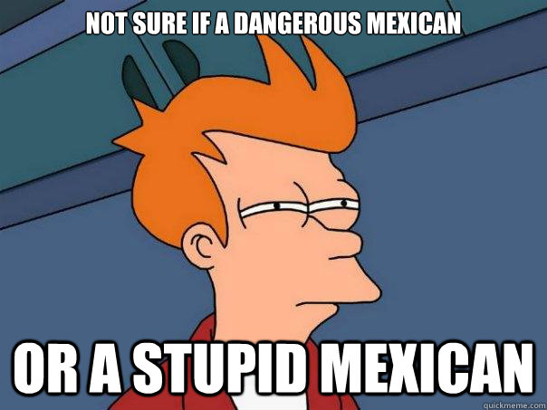 Not sure if a dangerous mexican or a stupid mexican   Futurama Fry