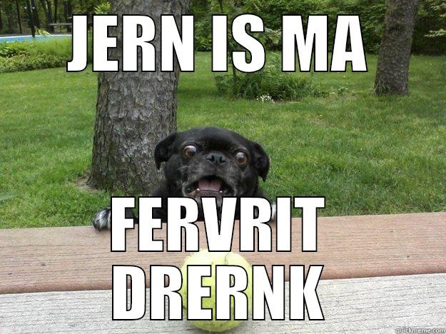 JERN IS MA FERVRIT DRERNK Berks Dog