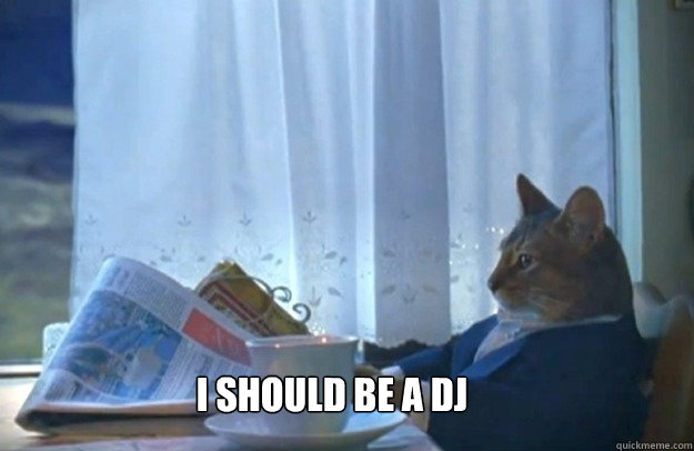 I should be a DJ  Sophisticated Cat