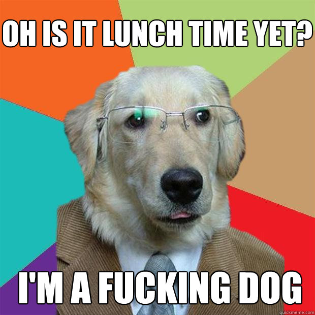 OH IS IT LUNCH TIME YET? I'M A FUCKING DOG  Business Dog