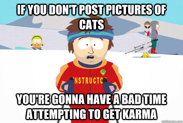 IF YOU DON'T post pictures of cats You're gonna have a bad time attempting to get karma  Super Cool Ski Instructor